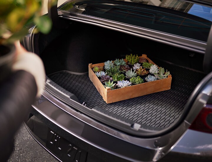 Trunk Mat